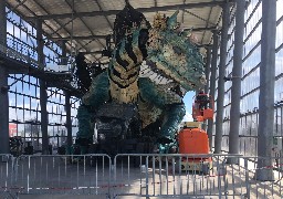 Dans une semaine, le Dragon de Calais transportera de nouveau des voyageurs