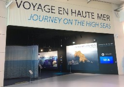 Nausicaà rouvre ce mercredi et fête ses 30 ans !