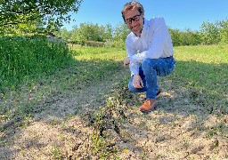 La Vannerie du Boisle relance la culture historique de l'osier dans la Somme
