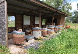 A la découverte du rucher école de la ville de Marck