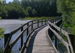 Oxygénez-vous dans la forêt et au marais de Guînes