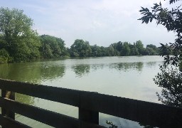  Sortie nature aux lacs d’Ardres !