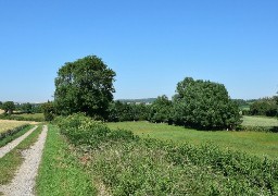Enfourchez votre VTT et direction le sentier de Berguette à Marquise