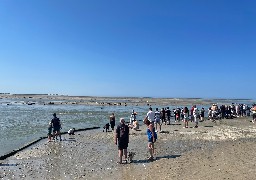 GPS des vacances: le plein d'air pur en Baie d'Authie côté Berck 