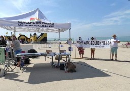 Vendredi au Havre, samedi à Dunkerque, 2 manifestations contre les parcs éoliens offshore !