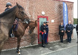 Une première en France : un poste à cheval est créé pour la Baie de Somme !
