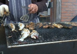 L'Harengade est de retour ce samedi à Cayeux