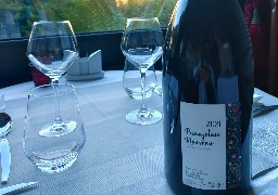 Beaujolais Nouveau 2021: les festivités autour de ce jeune vin reprennent