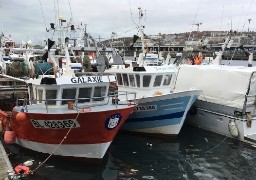 Le gouvernemet anticipe un échec des négociations post-brexit autour des licences de pêche