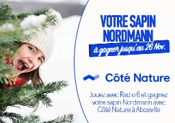 Côté Nature à Abbeville vous offre votre sapin de noël