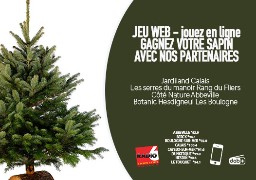 JEU WEB - Gagnez votre sapin en remplissant notre formulaire en ligne