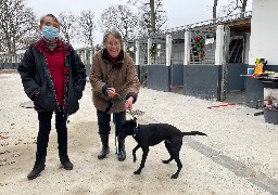 A la SPA on veille à ce que les animaux ne soit pas adoptés à la légère au moment de Noël