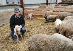 Un éleveur de la Somme lance une cagnotte en ligne pour sauver son exploitation