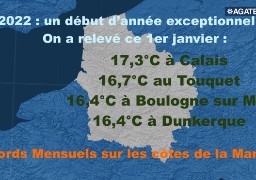 Il n'a jamais fait aussi chaud un 1er janvier à Calais, Dunkerque ou Abbeville !