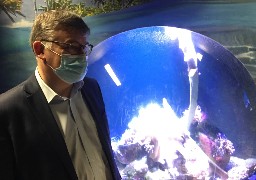 Boulogne : une exposition spectaculaire en juin à Nausicaà !