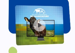 Salon de l'agriculture : une vitrine interactive pour Les Hauts de France.
