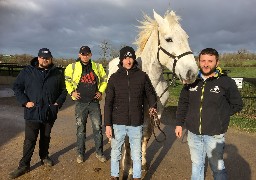 Salon International de l'Agriculture : la maison du cheval boulonnais à Samer compte sur ses éleveurs.
