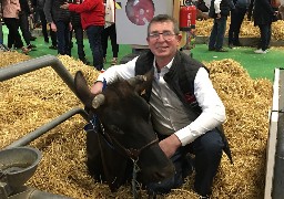 Au salon de l'agriculture : Orene décroche le prix de Grande Championne des Rouges flamandes !