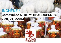 En Belgique, une voiture fonce dans la foule d'un carnaval : au moins 6 morts !