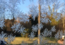 Météo : le froid et le gel de retour cette semaine