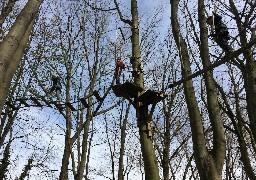 Boulogne sur mer : Acro'Liane fait le plein de sensations et de visiteurs !