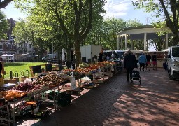 Chaque mardi, le marché de Malo anime la place de l'Europe.