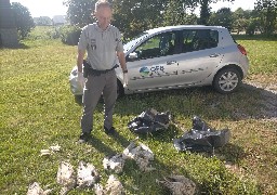 Une trentaine d'oiseaux retrouvés morts sur les plages du boulonnais.