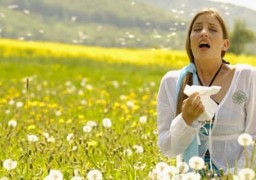 Le risque d’allergie aux pollens de graminées est élevé dans notre région