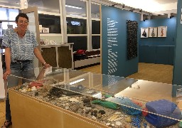 De surprenantes collectes de bord de mer à l'Ecole-Musée de Boulogne.