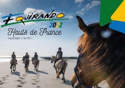 L'Equirando, un grand rassemblement de chevaux, arrive dans la Somme en juillet prochain 