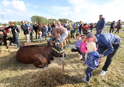 Une fête paysanne organisée en centre ville de Grande-Synthe Dimanche !