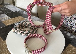 A Dunkerque, Camille Savarit a lancé une e-boutique d'accessoires de mode pour chiens !