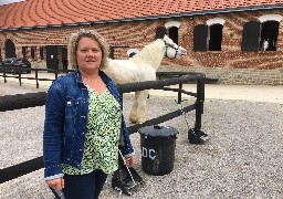 Les Escapades : A Samer, la Maison du cheval boulonnais à plus d'un tour dans sa calèche !
