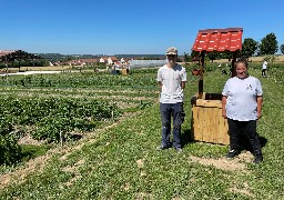 A Abbeville, un chantier d'insertion maraîchage vient d'ouvrir