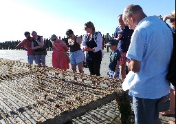 Les Escapades: découvrez les parcs à moules à Quend