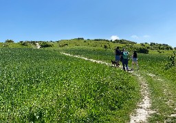 Les Escapades : randonnez tranquillement au départ d'Audembert sur le sentier de la Guiale