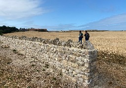 Un muret traditionnel du boulonnais en cours de restauration à Wimereux.