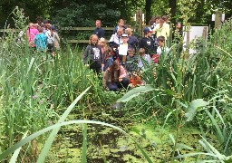 A Desvres, le domaine des enfants du boulonnais a une « mare remarquable.»