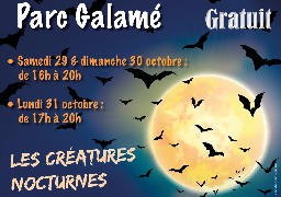 Vive Hal'loon Ween à Loon-plage !