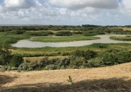 La fréquentation du parc du Marquenterre, excellente, pendant les vacances de la Toussaint