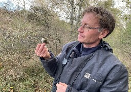 Il y a eu énormément d'oiseaux migrateurs cette année au parc du Marquenterre