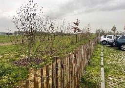 Le département de la Somme plante des haies et des vergers le long de ses routes