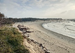 Baie d'Authie: de nouvelles solutions vont devoir être trouvées pour maintenir le cordon dunaire sur le long terme