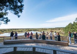 Quels sont les chantiers du Syndicat mixte en 2023 en Baie de Somme et sur le littoral picard ? 