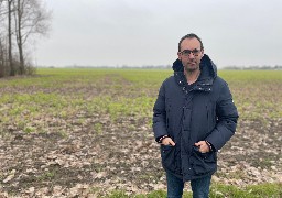 La justice européenne interdit les néonicotinoïdes : les betteraviers inquiets pour le rendement de leur culture