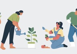 CHEF / CHEFFE D'ÉQUIPE E.V - CALAIS