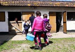 Appel à candidature pour la gestion du centre équestre de Berck 