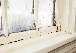 Lancement de la plateforme Histologe pour lutter contre le mal-logement