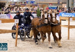 Salon de l'Agriculture: Amandine Debove termine 8e avec ses chevaux boulonnais