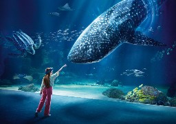 L'Europe autorise le financement de la seconde extension de Nausicaà pour 17 millions d'euros.